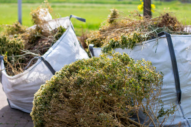 Best Yard Waste Removal  in Rio, VA